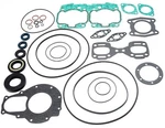 Doo 787 800 Complete Engine Gasket Seal & O-ring Gsx Gtx Spx Xp Challenger. Fixed Price $62.95.