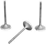 Pro-x 28.5594-2 Replacement Intake Valve Steel. Fixed Price $46.95.
