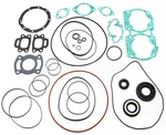 Doo 580 587 Complete Engine Rebuild Gasket Seal Kit Spi Gts 1992-1996. Fixed Price $59.95.