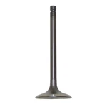 Oem Grade Intake Valve 1987-2021 Yamaha Warrior Raptor Big Bear 1UY-12111-01-00. Fixed Price $105.67.
