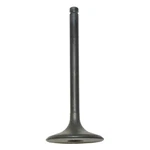 Intake Valve 95-03 1995-2003 Honda Trx 400FW Foreman 395CC 4-STROKE Sohc Range. Fixed Price $41.06.