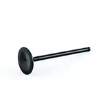Exhaust Valve Yamaha 225-350HP F225 F250 F300 F350 V8 4-STROKE 05-11 Outboard. Fixed Price $53.48.