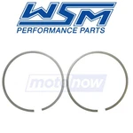 Wsm 010-920-05 Set For Engine Pistons Fr. Fixed Price $39.35.