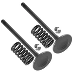 Caltric 3085349 3084906 3086892 3084908 Engine Intake Valve Kit For Polaris. Fixed Price $29.99.