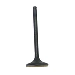 Oem Grade Intake Valve 97-01 1997-2001 Honda Trx 250 Recon 229CC Ohv Air Cooled. Fixed Price $82.87.