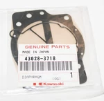 Kawasaki Oem 43028-3718 Diaphragm. Fixed Price $45.00.